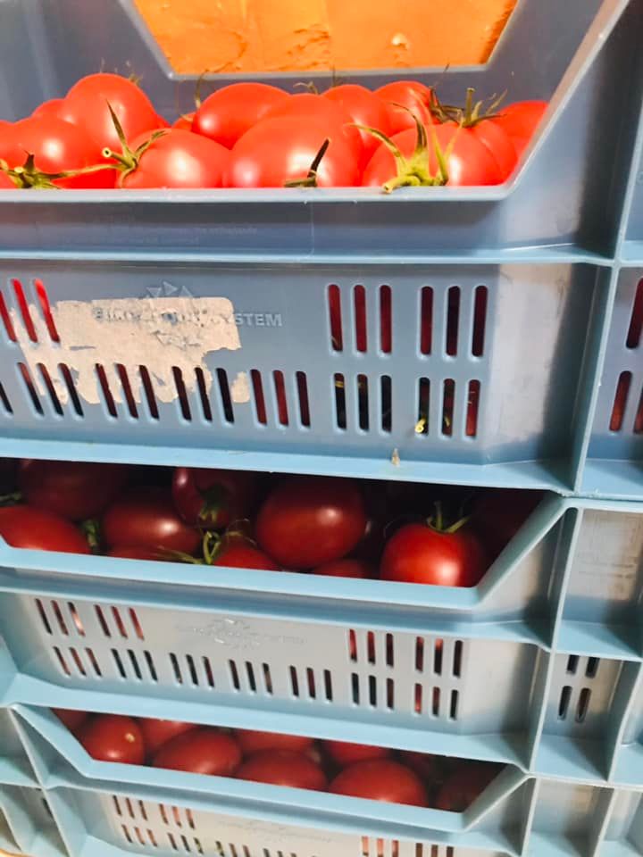 Salsa di pomodoro fresco (passata di pomodoro fatta in casa) - passaggio 1