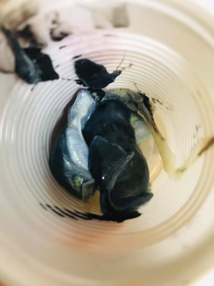 Ricetta Linguine al nero di seppia - passaggio 2