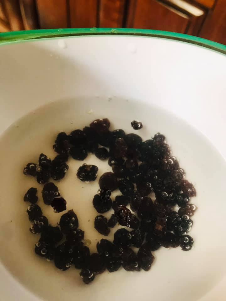 Ricetta Sarde a beccafico alla palermitana - passaggio 3