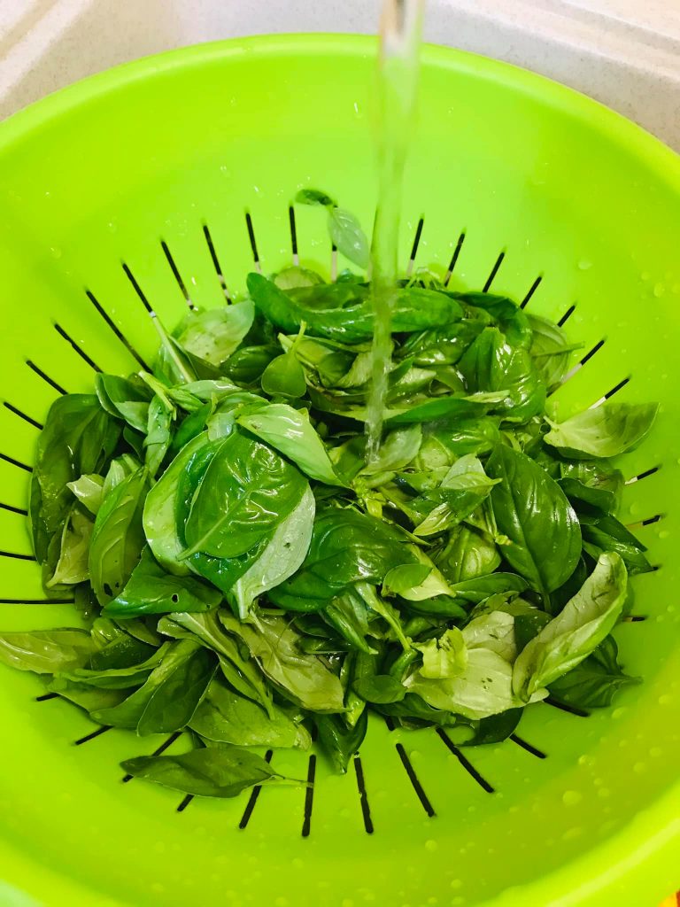 Ricetta Spaghetti al pesto di basilico (a modo mio) pomodorini e tonno - passaggio 2