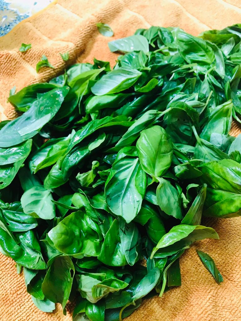 Ricetta Spaghetti al pesto di basilico (a modo mio) pomodorini e tonno - passaggio 3